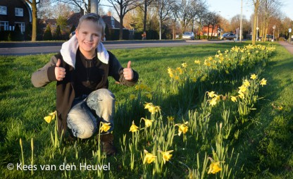 narcissen zee 25 januari 2015 dico