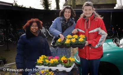 dac college klussen 11-3 klein