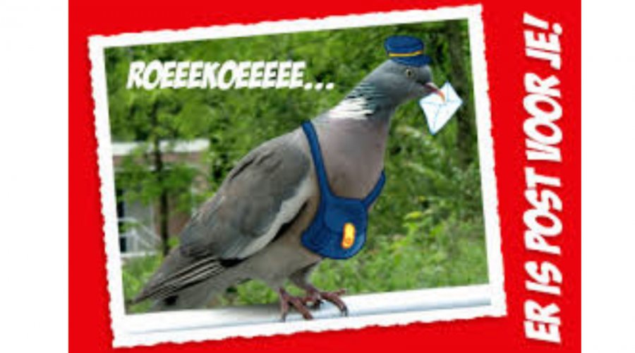 De Luchtklievers Nijkerkerveen