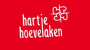 Ondernemers in hartje Hoevelaken bereiden zich voor op groot stroomonderhoud door Liander