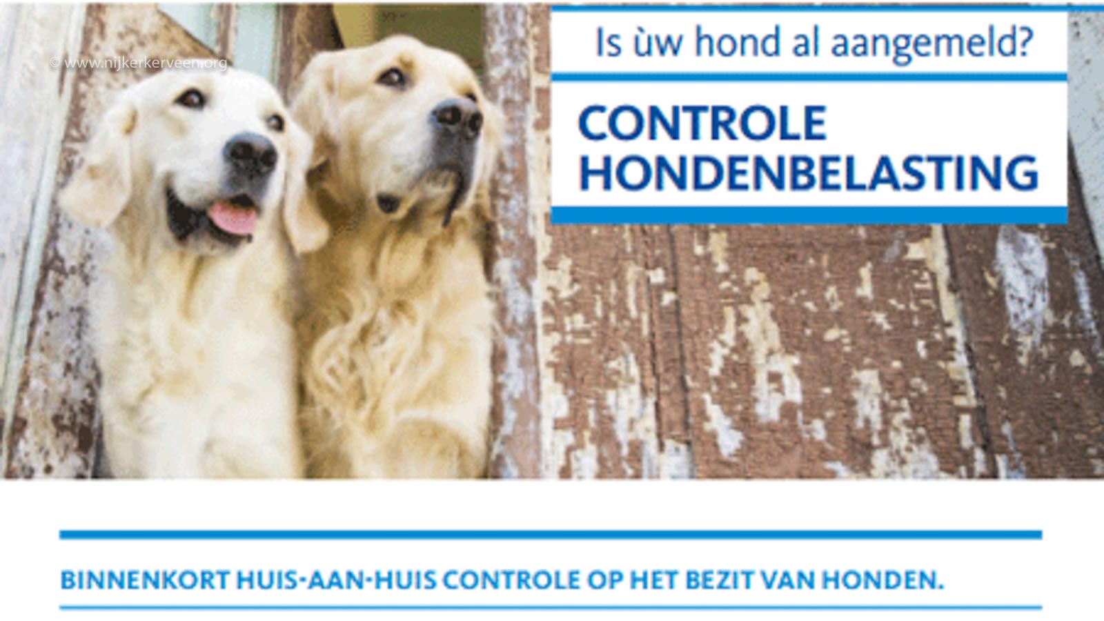 Op schema met uitvoering van het hondenuitlaatbeleid. Samen krijgen we het nóg beter.