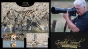 Fotograaf Arjen Gerritsma brengt kalender uit over Afrika
