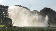 Waterschap Vallei en Veluwe stelt onttrekkingsverbod oppervlaktewater in