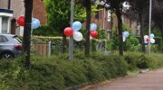 Hele Schulpkamp in Nijkerk vol met ballonnen
