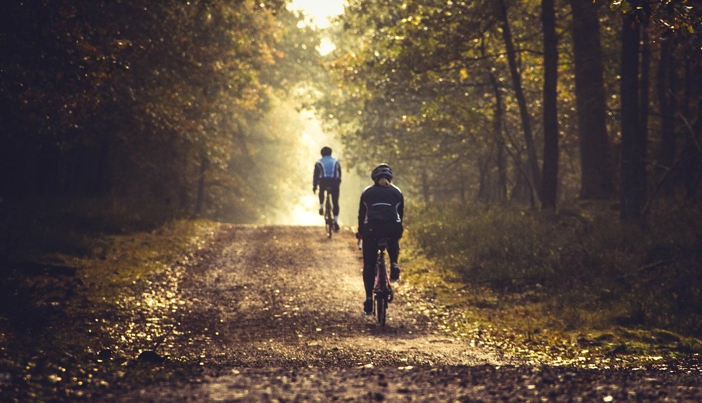 Amersfoortse aandeel van uitbreiding Hoevelakense Bos tijdelijk stil gezet