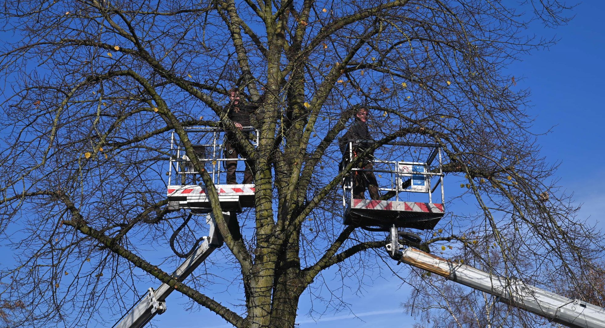 Honderden lampjes opgehangen in Nijkerkerveen