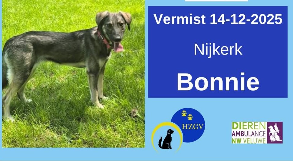 Nijkerkse hond Bonnie is vermist na vuurwerk