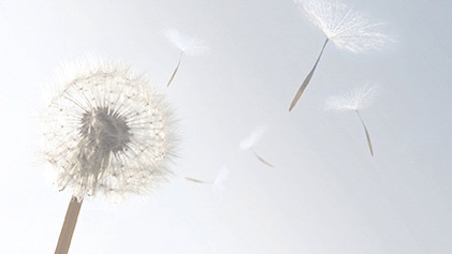 Susanne Riemens (EABN Uitvaartverzorging) licht prijsverschillen crematies toe