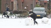 Sneeuwpret in het Stadspark