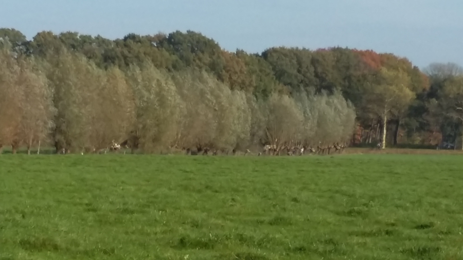 Fijn buiten aan de slag aan de rand van de Arkemheense polder