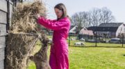 Aeres VMBO Nijkerk zoekt dierverzorgers voor weekenden en vakanties