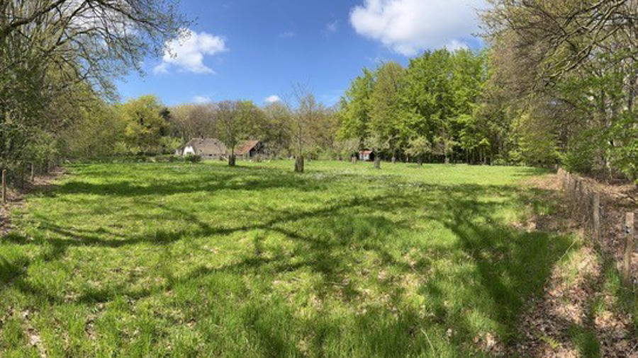 Vogelgeluiden leren herkennen in het Hoevelakense bos