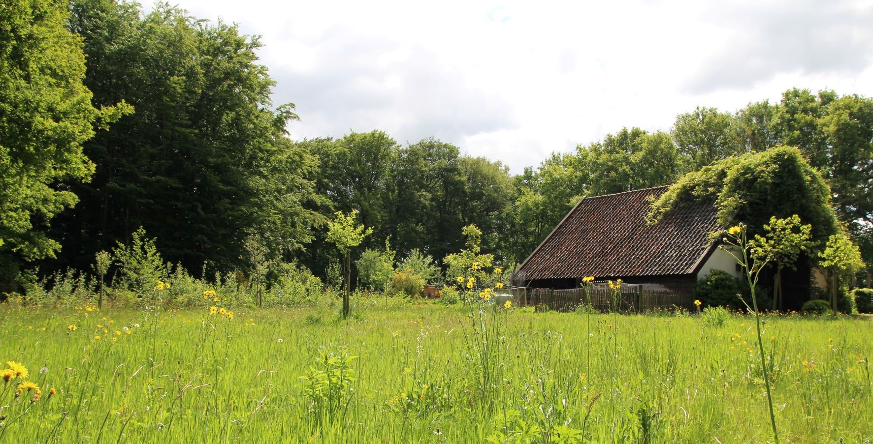 Open Erf bij biodiversiteitsambassadeurs in Hoevelaken en Appel