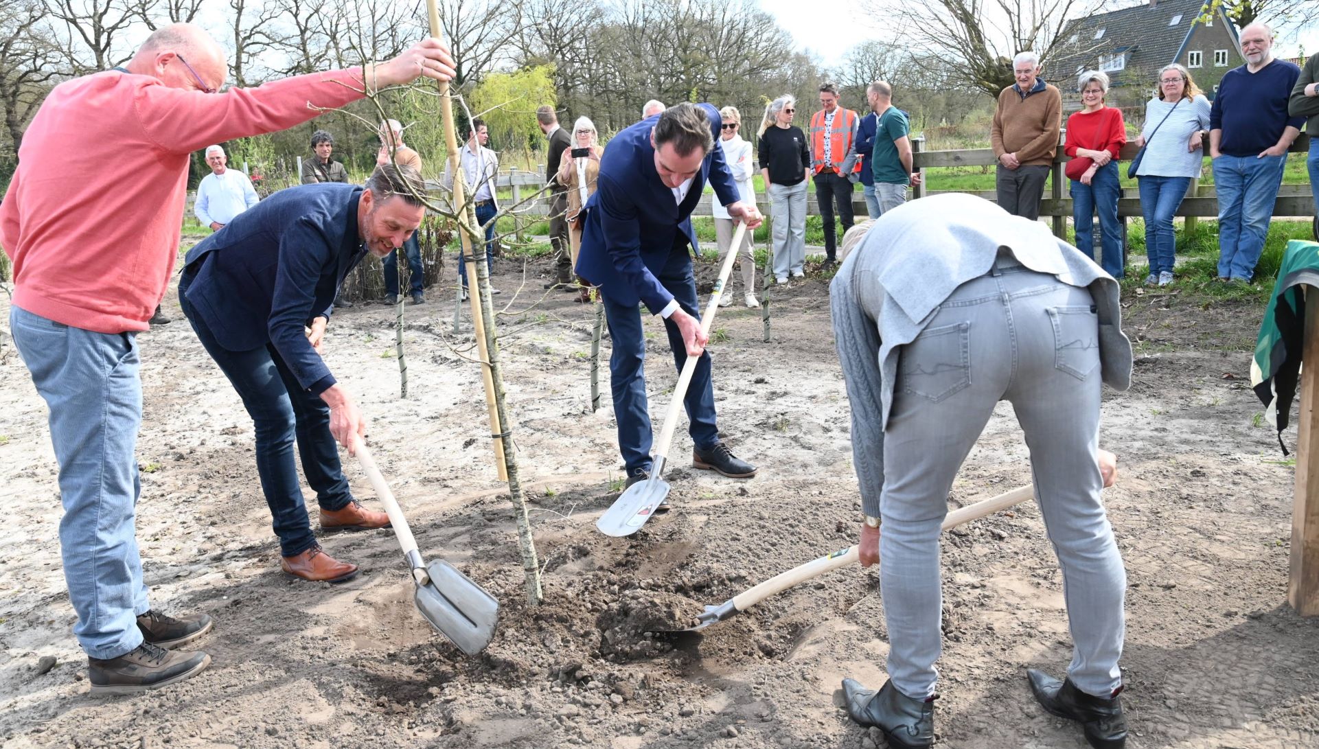 Aftrap versterking Hoevelakense Bos: Eerste boom geplant voor 20 hectare nieuwe natuur