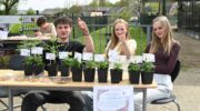 Geslaagde plantjesmarkt bij Aeres VMBO Nijkerk