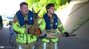 Brandweer Nijkerk redt kleine ree uit Nijkerks water