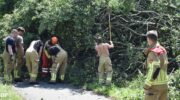 Boom valt op fietspad Berencamperweg in Nijkerk
