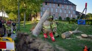Brandweer gebruikt omgevallen boom als oefenobject aan de Vetkamp in Nijkerk