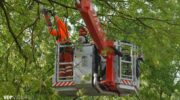 Brandweer verwijdert meerdere loshangende takken in de Campenbuurt in Nijkerk