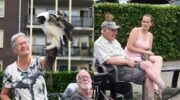Spectaculaire roofvogelshow bezorgt Nijkerk onvergetelijke middag