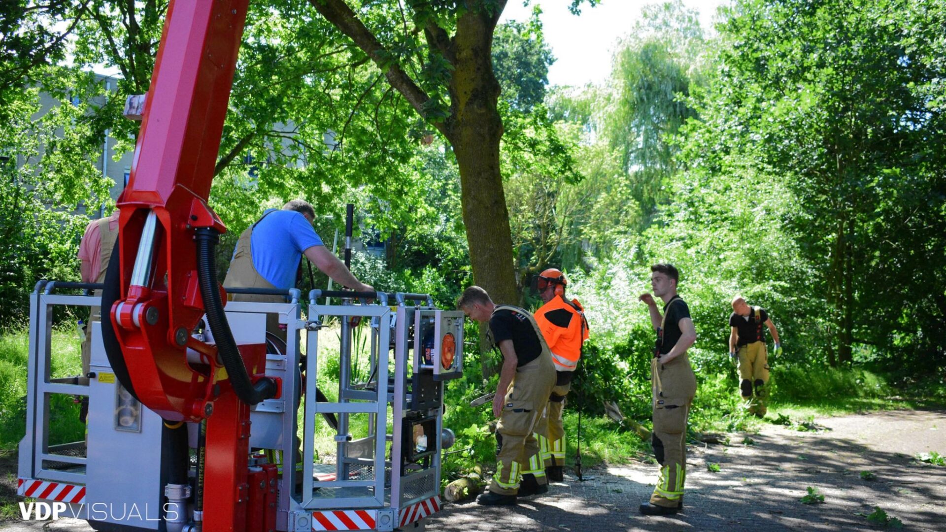 Loshangende takken boven fietspad aan de Kostverloren in Nijkerk verwijderd