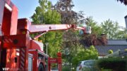 Boom valt op woning aan de Vermeerhof in Nijkerk