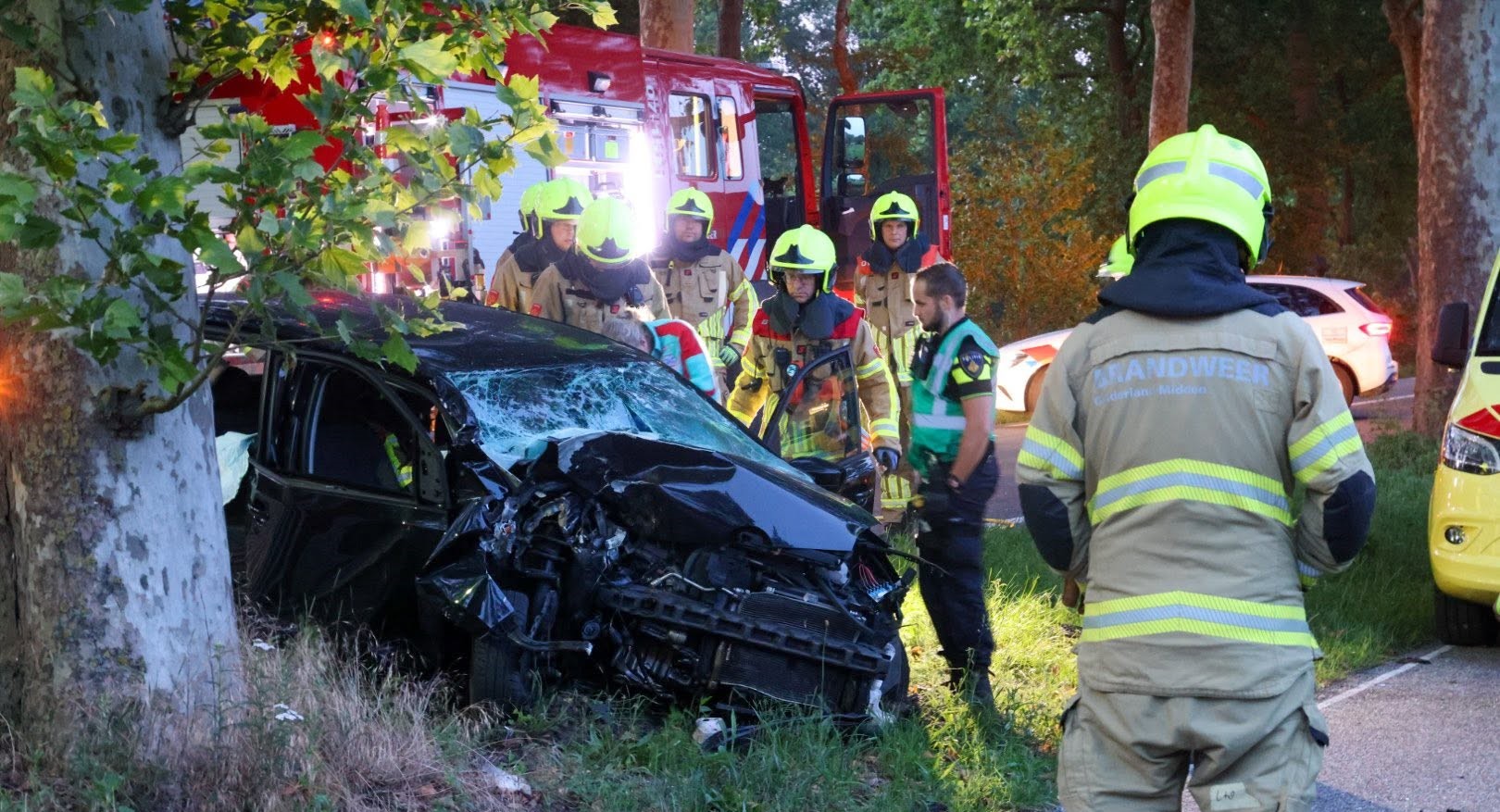 Automobilist gewond op Zelderseweg na botsing tegen boom