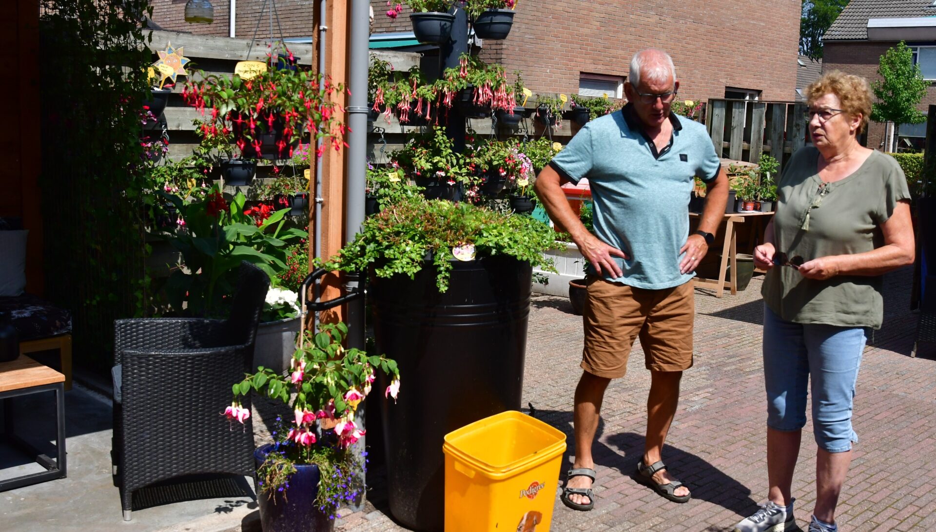 Prachtige bloeiende fuchsia’s te bewonderen in Nijkerkse tuin