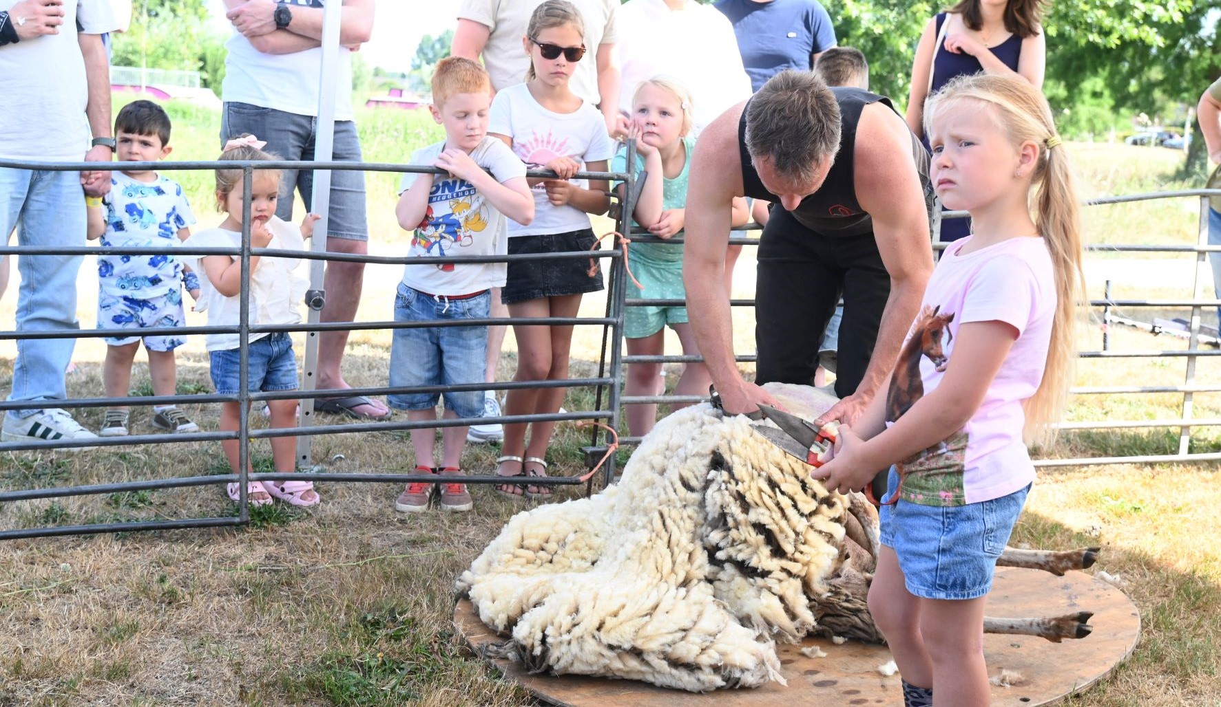 Schaapscheerdersfeest in Groot Corlaer trekt veel bekijks