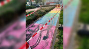 Nieuw regenboogpad bij station Nijkerk na één dag al besmeurd