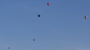 Kleurrijke ballonnenzee trekt over Nijkerk en Hoevelaken tijdens Ballonnenfiësta