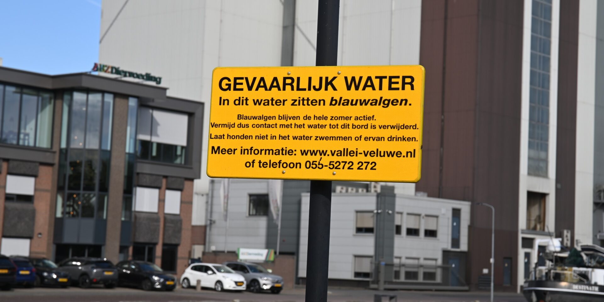 Waarschuwing voor blauwalg in vijver Arkemheenweg te Nijkerk