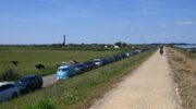 Ministoomdag in Nijkerkse polder zorgt voor honderden meters lange file langs Zeedijk