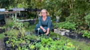 Groene ‘Kweek-xperience’ voor het hele gezin