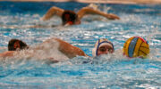 Flevo Dames strijdend ten onder in Apeldoorn