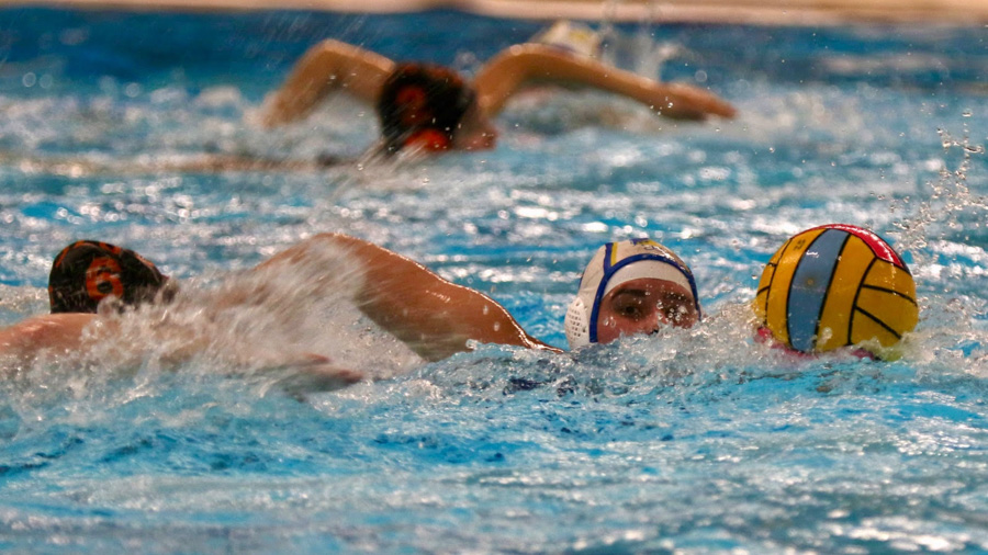 Flevo Dames strijdend ten onder in Apeldoorn