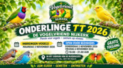 Ruim 300 kleurrijke vogels te bewonderen tijdens tentoonstelling De Vogelvriend Nijkerk