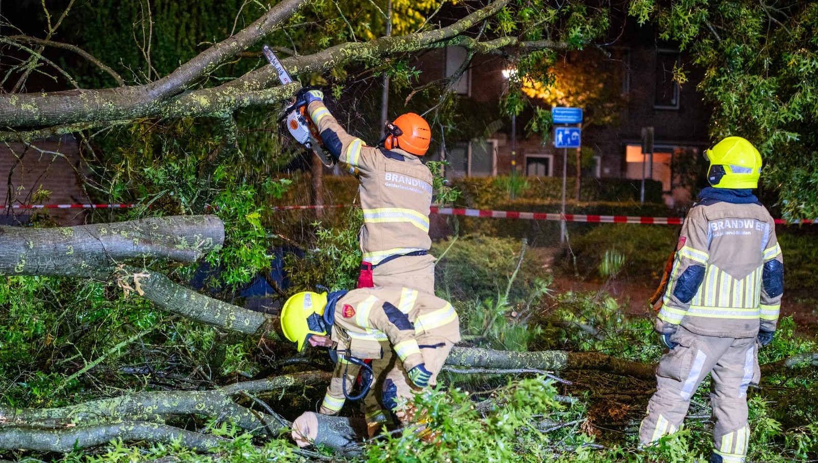 Grote eik omgevallen op de Kardinaal Alfrinklaan, Nijkerkse brandweer ingeschakeld